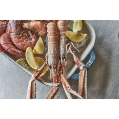 Staub Ofenformenset 3-tlg -Messer Verkaufsgeschäft 424423155